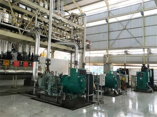 Equipo de producción de aceite de palma de 80t/h para procesar aceite vegetal con Bolivia
