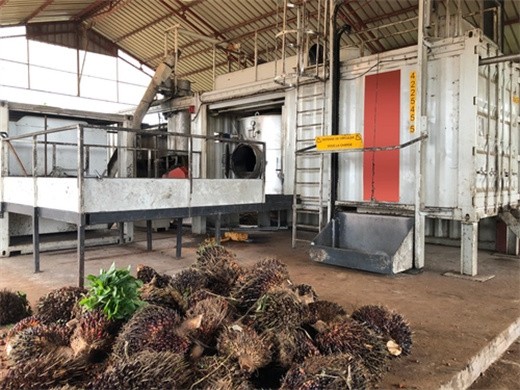 Máquina procesadora de imágenes para producir aceite de palma roja en Costa Rica