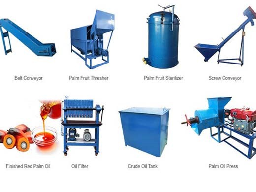 Máquina para fabricar aceite de palma/máquina prensadora de aceite de palmiste en Paraguay