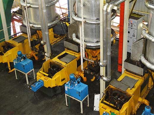 Máquina de aceite de palma de 15 tph, procesamiento local de aceite de palma