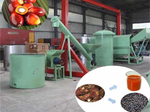 Precio de la máquina de prensa de tornillo de refinería de producción de aceite de palma en Perú
