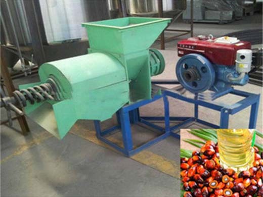 Línea de producción de prensa de aceite de semilla de calabaza de palma grande gs95 en Colombia