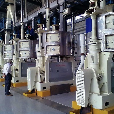 Línea de producción de prensa de aceite/extractor de aceite de semilla comercial