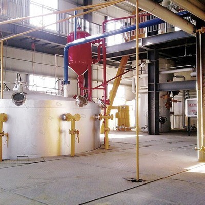 Línea de producción profesional de prensa de aceite de tornillo saludable con filtro