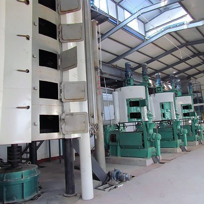 Máquina para fabricar línea de producción de prensa de aceite de karité y nuez de China