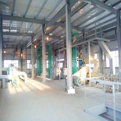 Línea de producción de prensa de aceite de colza de 20 tpd con nueva tecnología