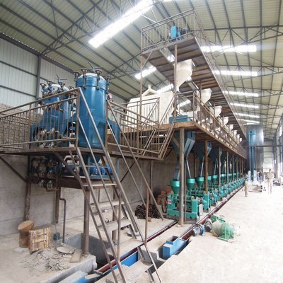 Gran molino de aceite de maní prensado en frío, máquina de aceite de maní en Paraguay