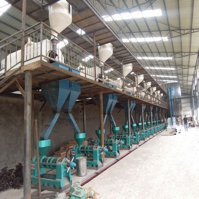 Línea de producción de prensa de aceite de maní y maní del proyecto de molino de aceite