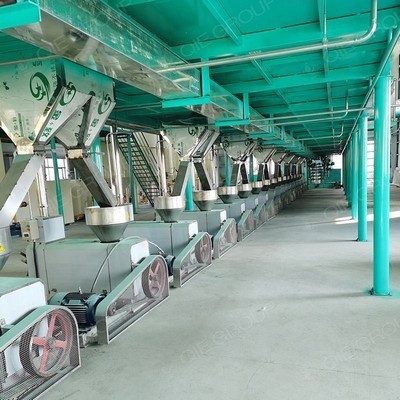 Línea de producción de prensa de aceite de semilla negra de tornillo gzc90s3z en Costa Rica