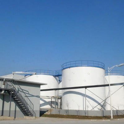 Gran molino de aceite de soja para la línea de producción de prensa de aceite de Paraguay