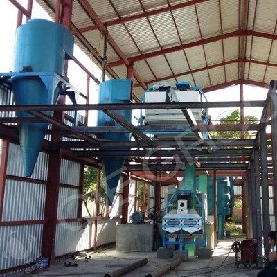 Línea automática de producción de aceite de colza de tornillo en Paraguay