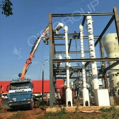 Línea de producción de prensa de aceite de semilla de uva prensa grande en Paraguay