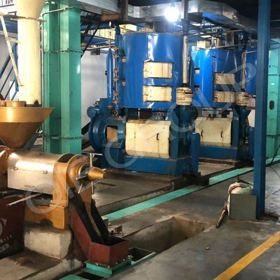 Planta de extracción por solventes-máquina prensadora de aceite de girasol en Costa Rica