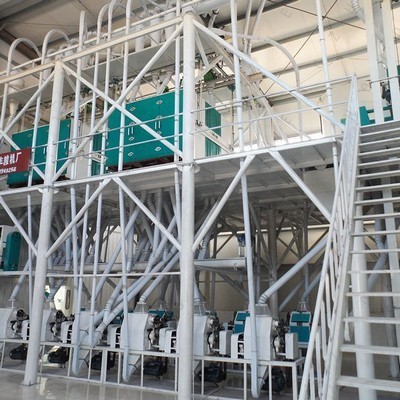 Línea de producción de prensa de aceite de tornillo de colza de buen rendimiento