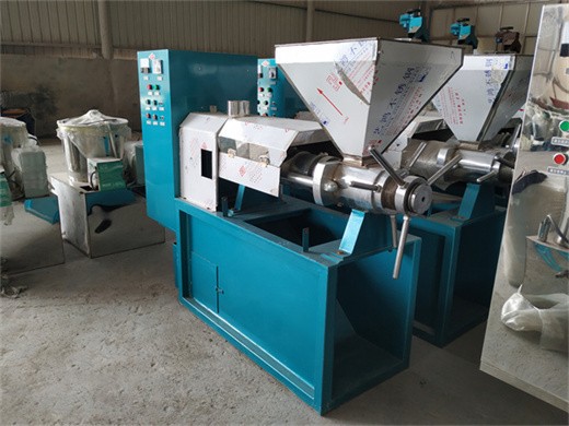 Máquina de extracción de aceite de máquina prensadora de aceite de maní grande en Argentina