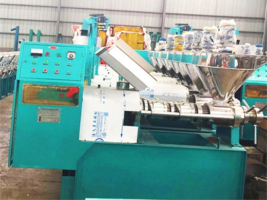 Máquina para fabricar aceite de extracto prensado en frío grande aprobada por la CE en Colombia