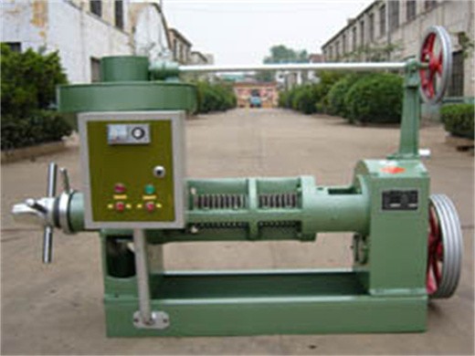 Extractor de aceite de prensa en frío y caliente automático de uso comercial