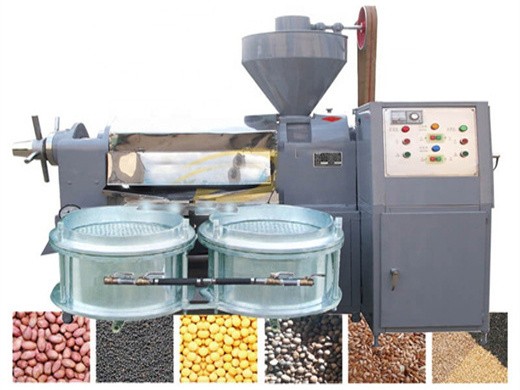 Máquina para fabricar aceite de sésamo/prensa de aceite de sésamo en Bolivia