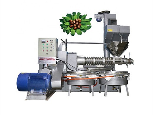 Fabricación china automática con filtro expulsor de aceite de semilla de comino negro