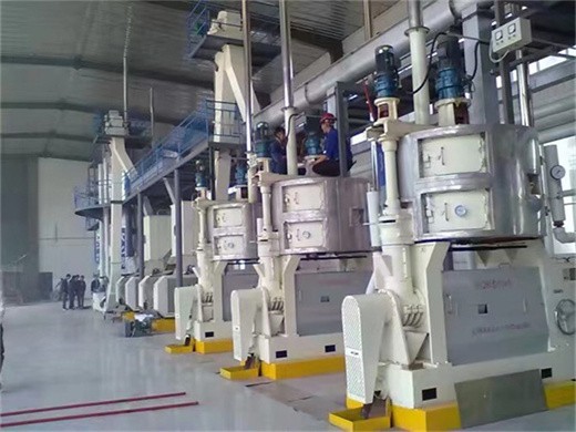 Máquina prensadora de aceite de maní y máquina extractora de aceite en Bolivia