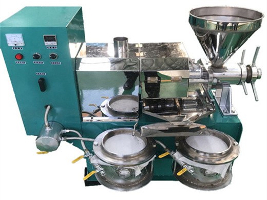 cómo extraer el proceso de aceite de marula fabricante de prensa de aceite