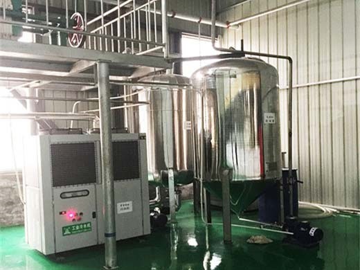 Máquina de refinación de aceite de semilla de girasol ampliamente utilizada en venta en Ecuador